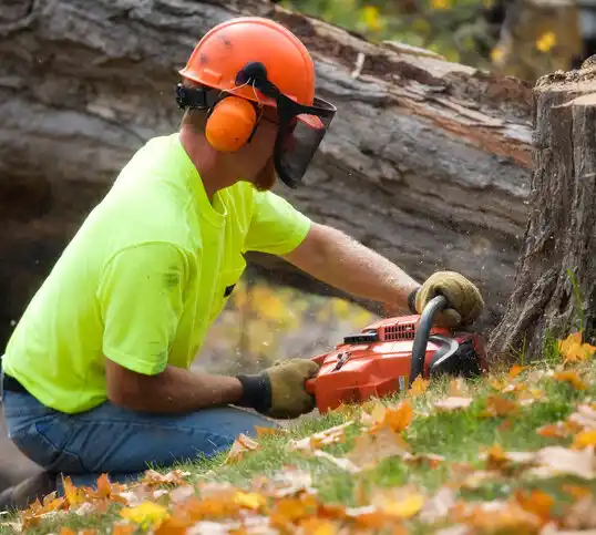 tree services Mount Carmel